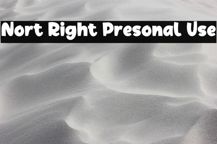 Nort Right Presonal Use Example 1