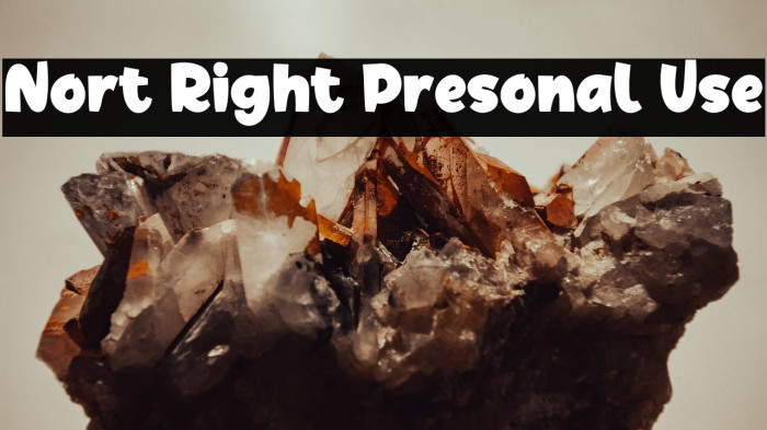 Nort Right Presonal Use Example 3