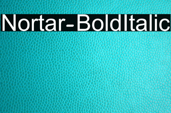 Nortar-BoldItalic Example 1