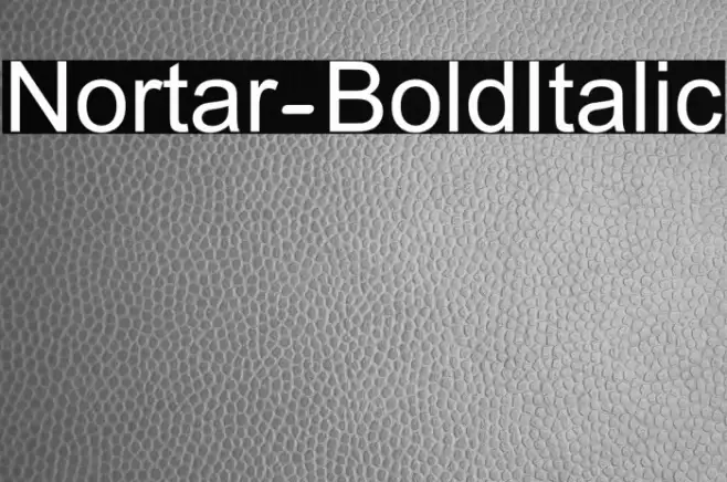 Nortar-BoldItalic Font examples