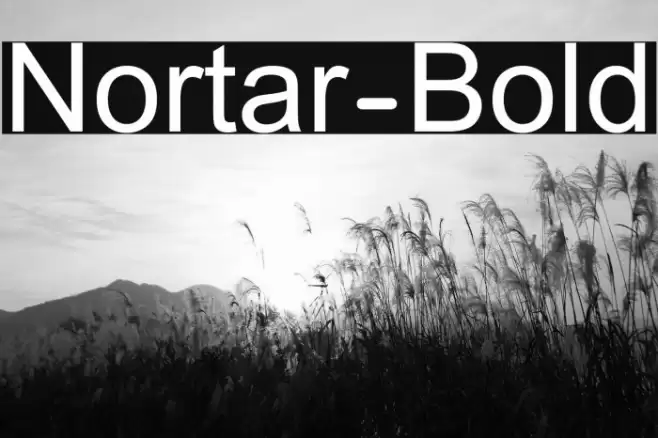 Nortar-Bold Font examples
