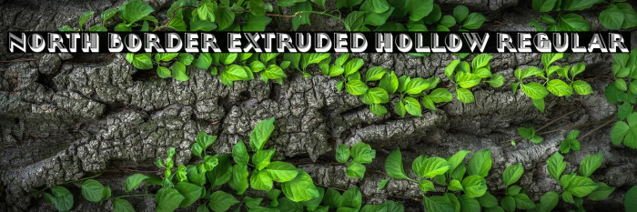 North Border Extruded Hollow Regular Example 3