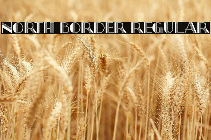 North Border Regular Example 2