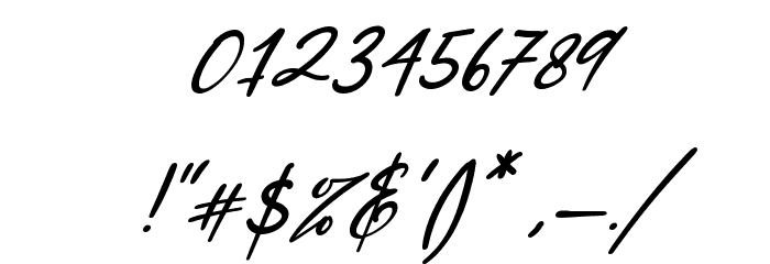 North Coast Italic Font OTHER CHARS