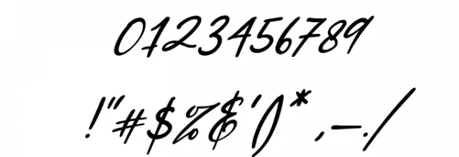 North Coast Italic Font OTHER CHARS