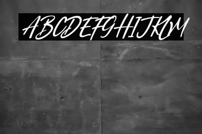 North Coast Italic Font examples