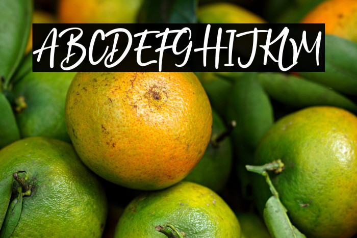 North Coast Example 2