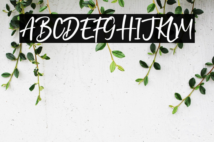 North Coast Example 3