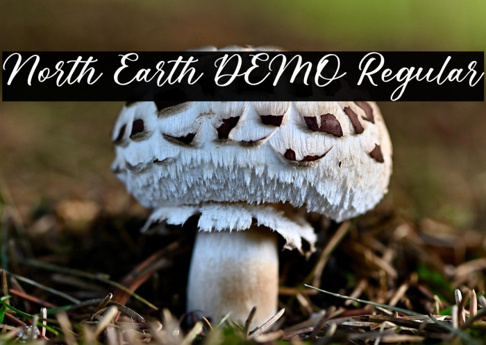 North Earth DEMO Regular Example 3