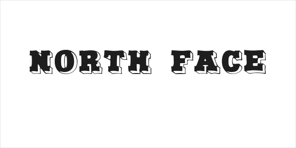 North Face Logo