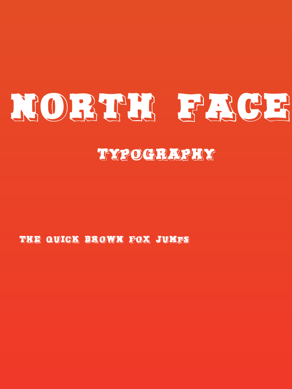 North Face Poster