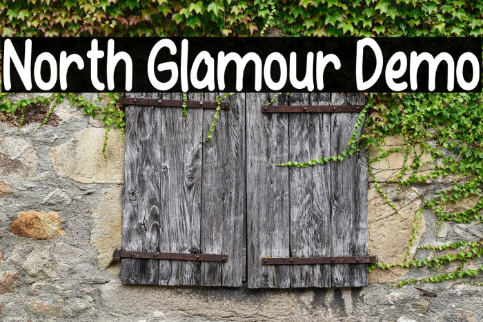 North Glamour Demo Example 3
