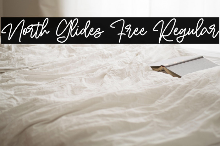 North Glides Free Regular Example 1