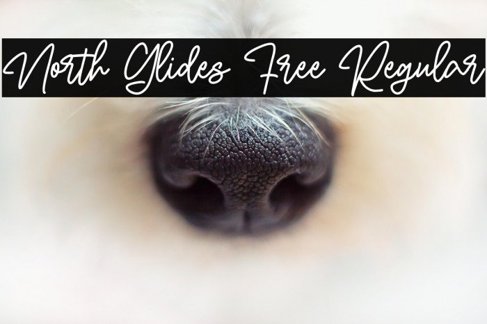 North Glides Free Regular Example 2