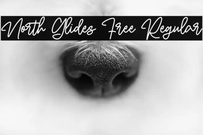 North Glides Free Regular Font examples