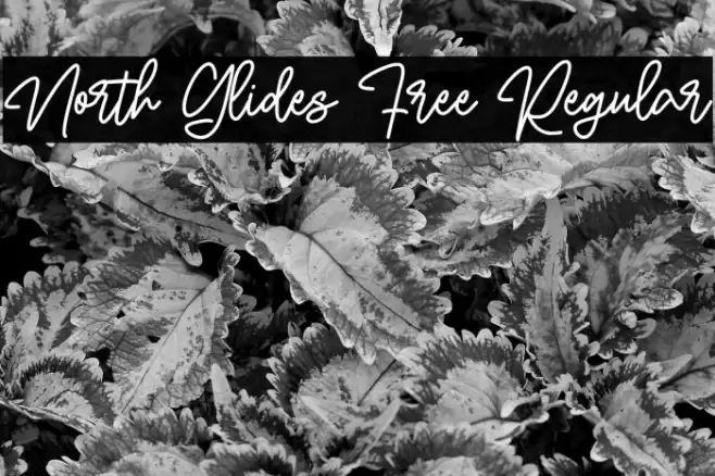 North Glides Free Regular Font examples