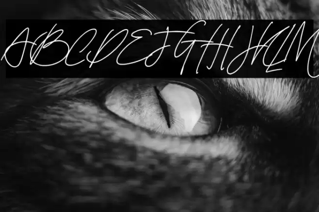 North Grenada Regular Font examples