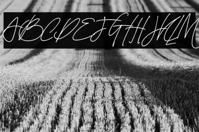 North Grenada Regular Font examples