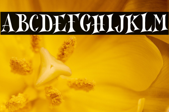 North Mountain DEMO-Regular Example 1