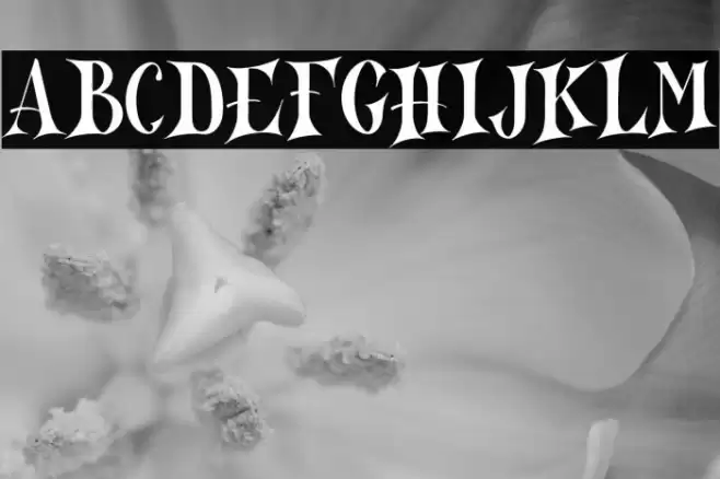 North Mountain DEMO-Regular Font examples