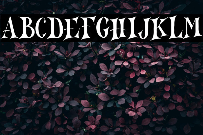 North Mountain DEMO-Regular Example 2