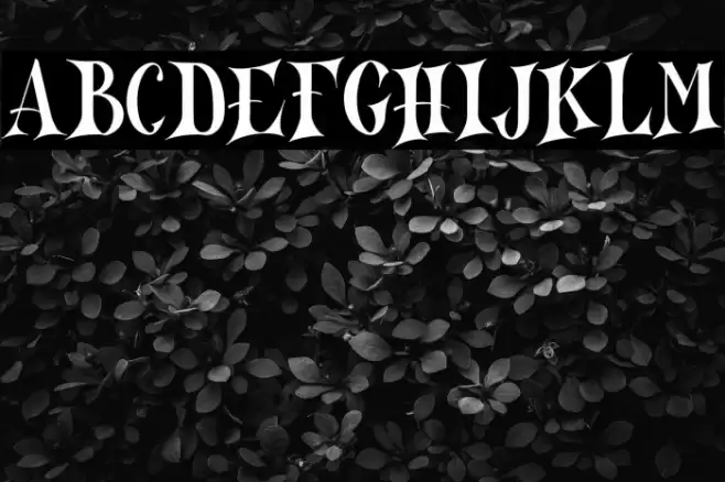 North Mountain DEMO-Regular Font examples