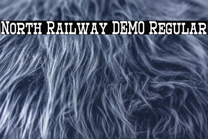 North Railway DEMO Regular Example 1