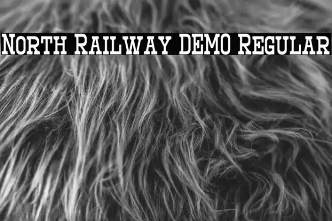North Railway DEMO Regular Fonte examples