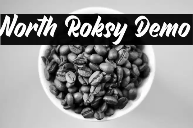 North Roksy Demo Font examples