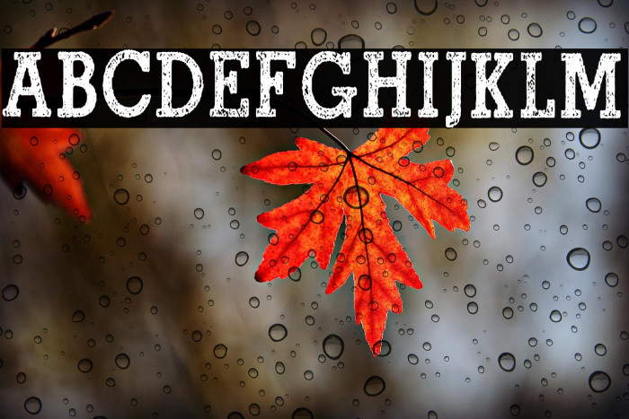 North Shore Personal Use Regular Example 2