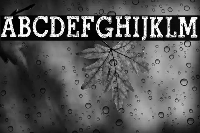 North Shore Personal Use Regular Font examples