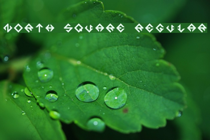 North Square Regular Example 3