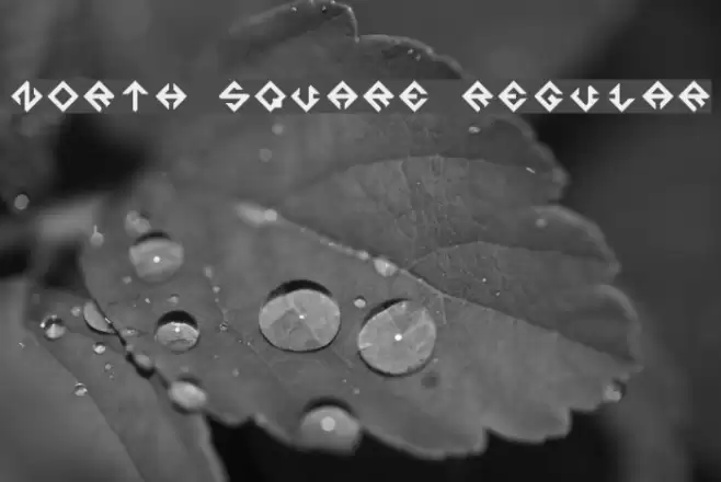 North Square Regular Font examples