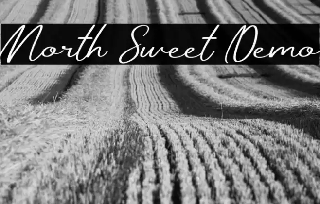 North Sweet Demo Caratteri examples