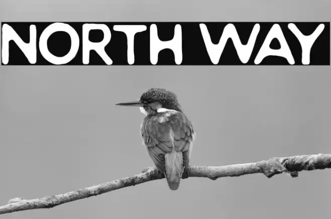 North Way Example 3