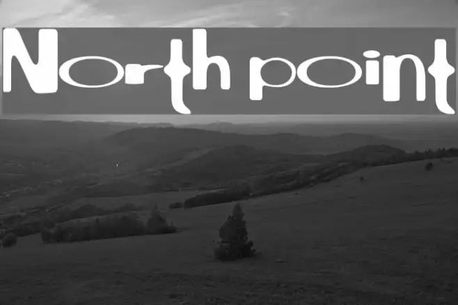 North point Example 3