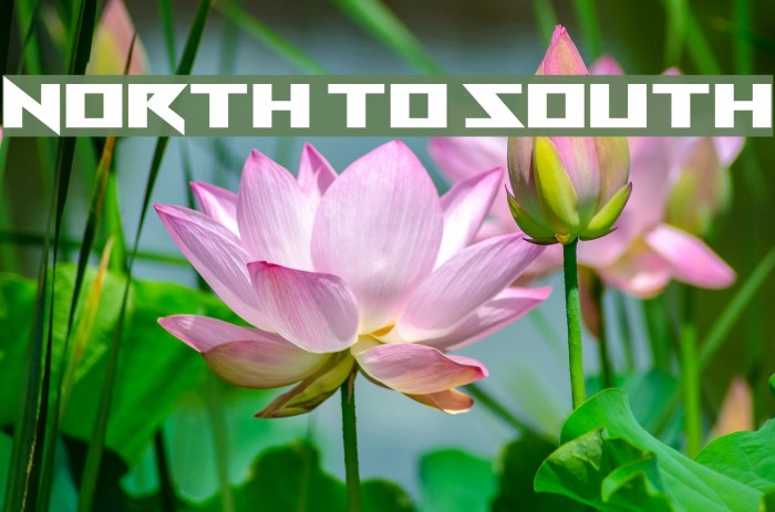 North to South Example 3