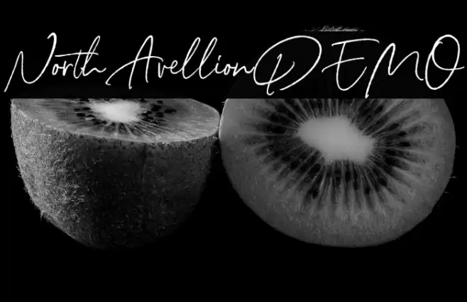 NorthAvellionDEMO Font examples