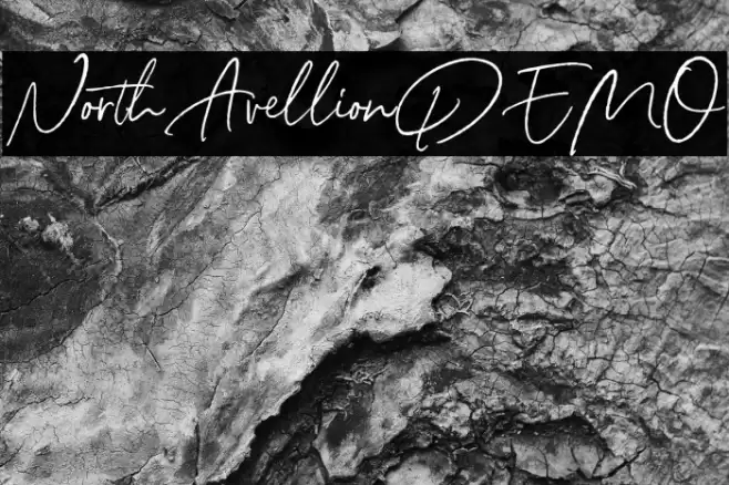NorthAvellionDEMO Font examples