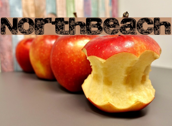 NorthBeach Example 3