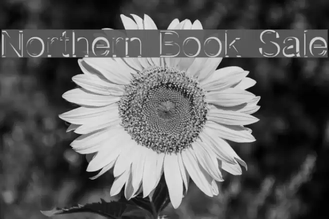 Northern Book Sale Schriftart examples