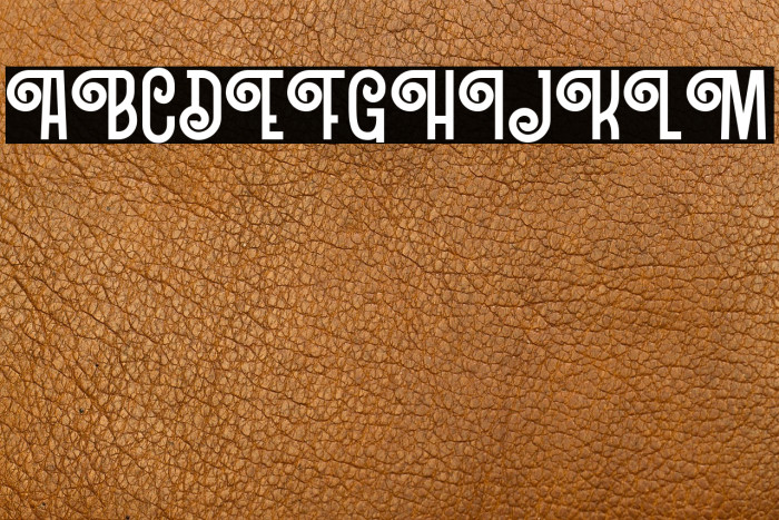 Northern Demo Version Example 2