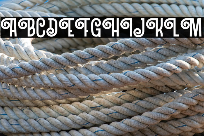 Northern Demo Version Example 2