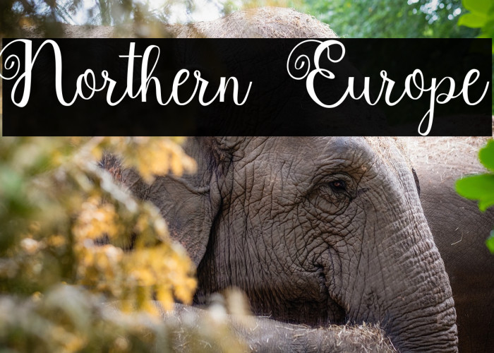 Northern Europe Example 2