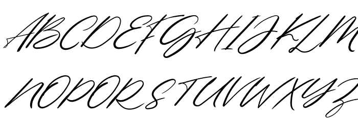 Northern Forest FREE Font OTHER CHARS