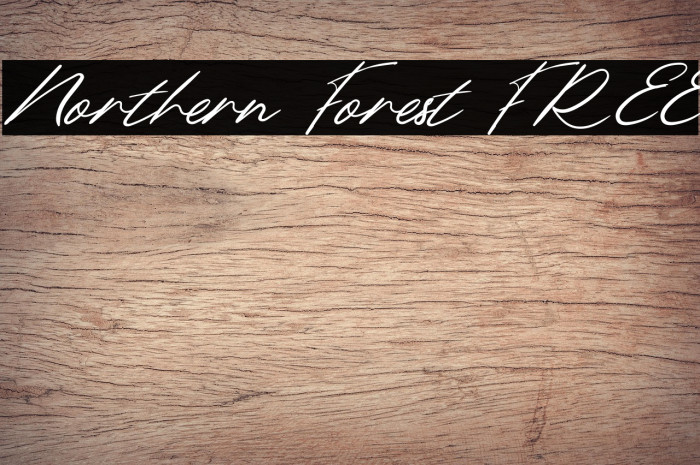 Northern Forest FREE Example 1