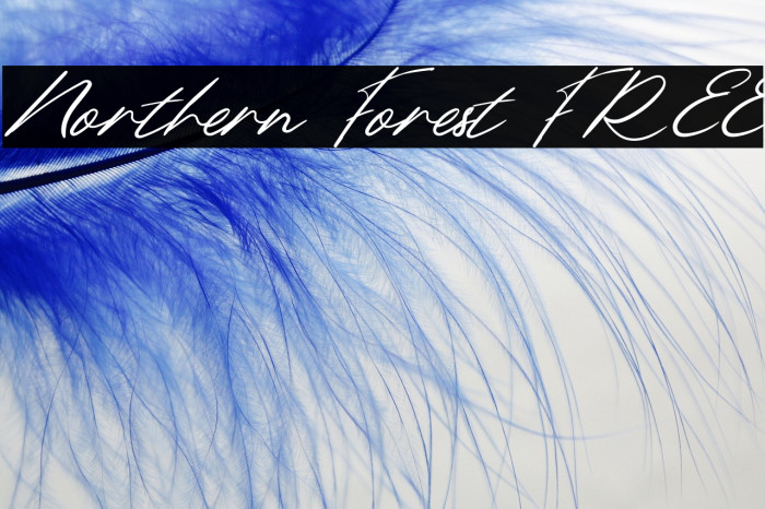 Northern Forest FREE Example 2