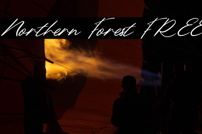 Northern Forest FREE Example 3