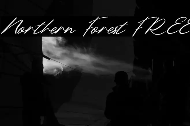 Northern Forest FREE Example 3