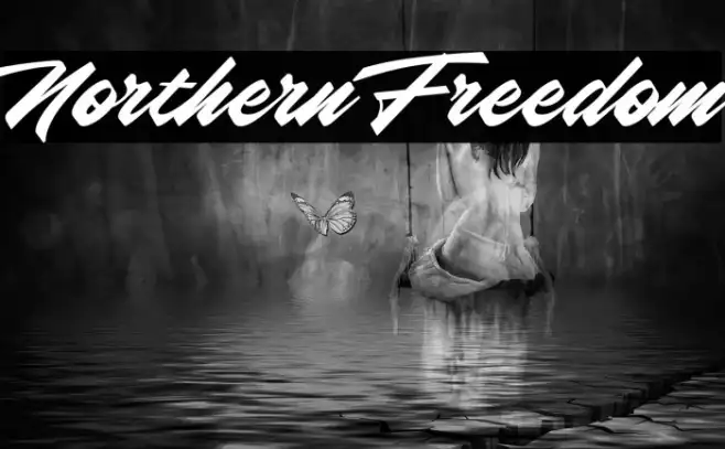 Northern Freedom Example 1